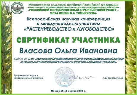 Мсх документы