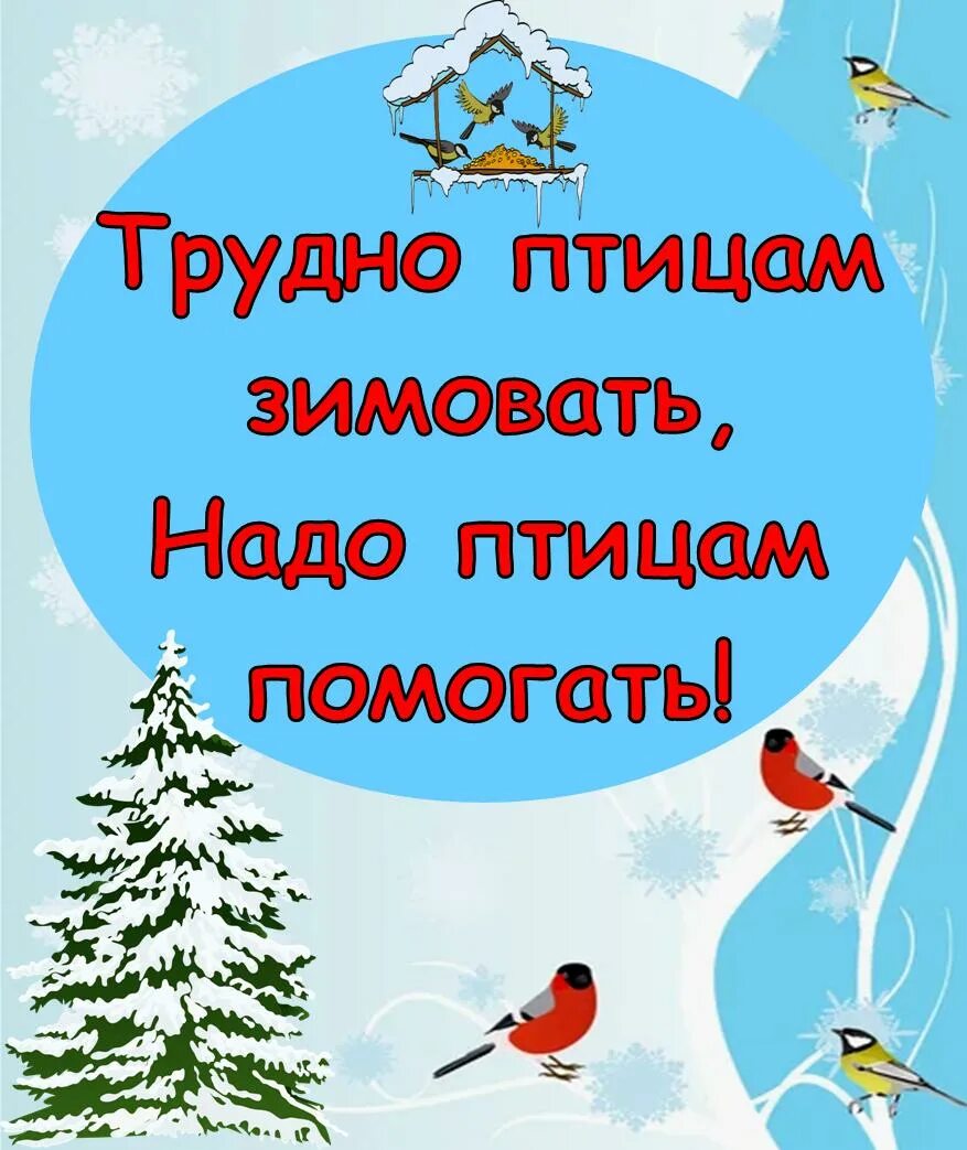 День помощи птицам. Покормите птиц зимой. Акция Покормите птиц зимой. Акция Покорми птиц зимой. Экологическая акция Покормите птиц зимой.