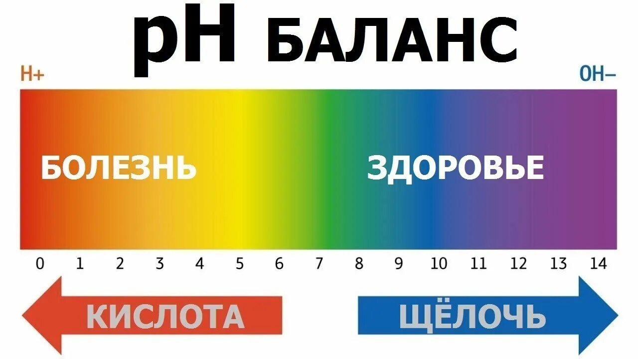 Как проверить кислотно щелочной. Ph баланс организма. кислотно-щелочное равновесие. кислотно-щелочной баланс. ph кислая и щелочная.