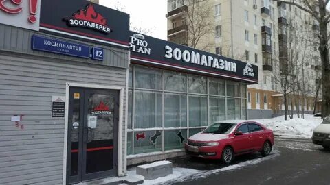 Зоогалерея тула