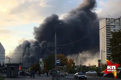 Москва строгино новости