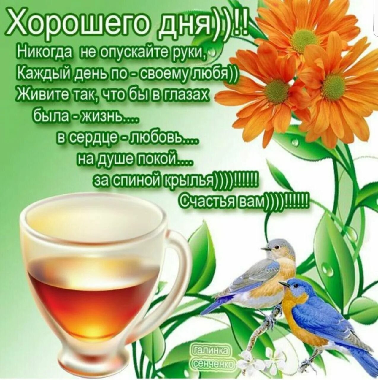 Доброе утро пожелание на каждый день