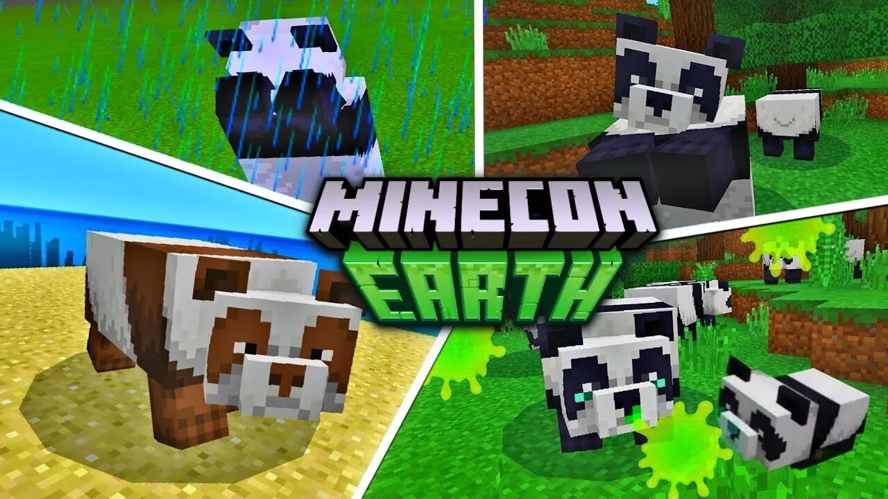 9pandas entity 9pandas entity 2025 10 13