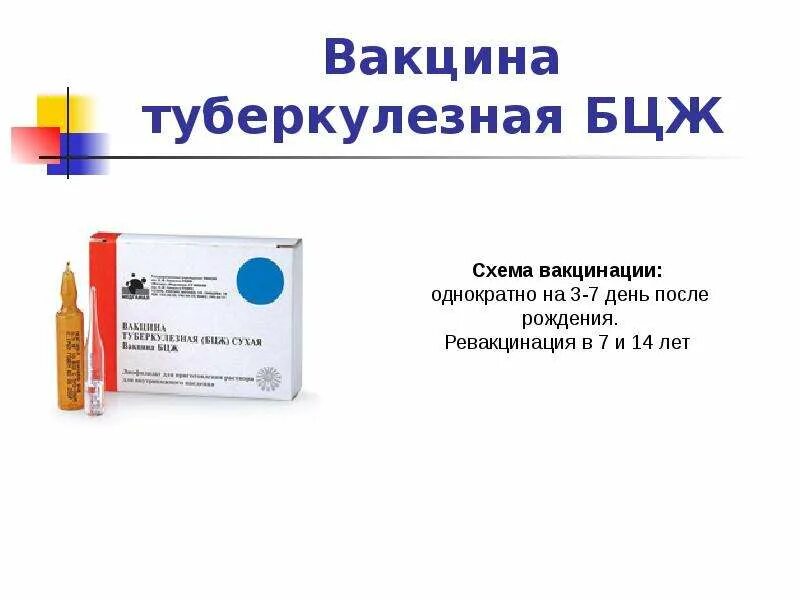 Вакцина против туберкулеза БЦЖ. Ампула вакцины БЦЖ. БЦЖ вакцина расшифровка. Вакцины от туберкулеза БЦЖ М.