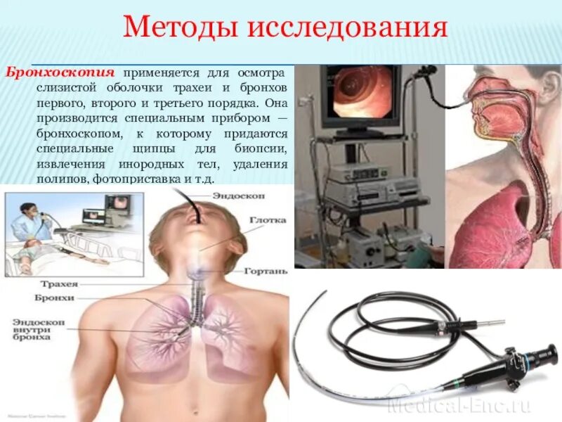 Эзофагогастродуоденоскоп используется для осмотра слизистой оболочки