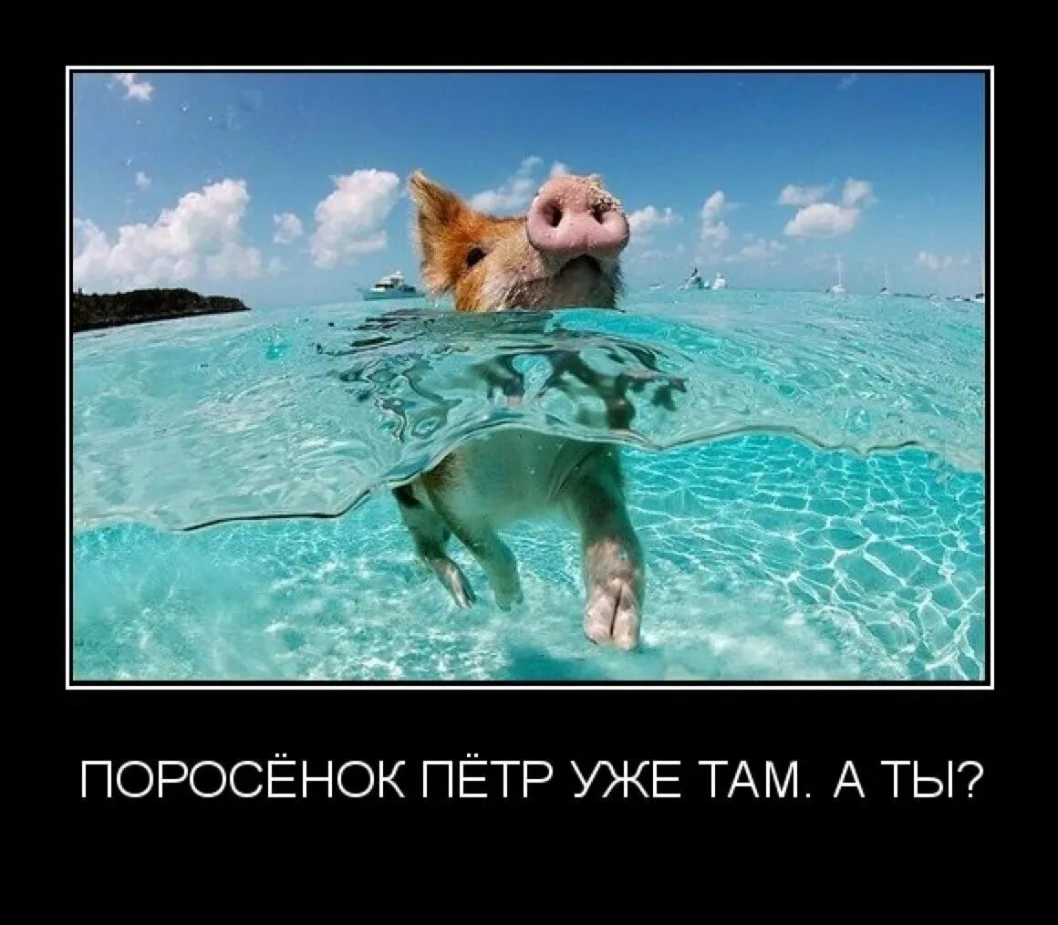 Почти не отдохнув