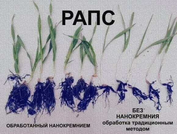 Препарат Нанокремний. Сила кремния удобрение. Сила кремния Нанокремний. Нанокремний инструкция. Нанокремний