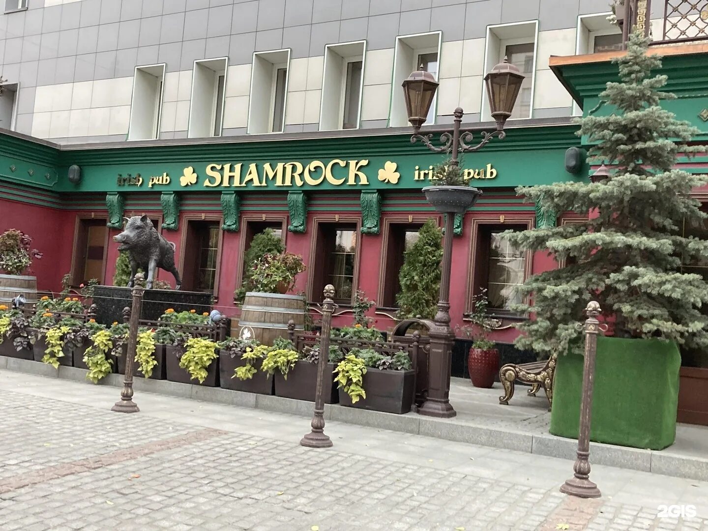 Шемрок санкт-петербург улица декабристов. Ирландский паб королев. Шемрок паб. Шемрок паб. Шамрок королев паб.