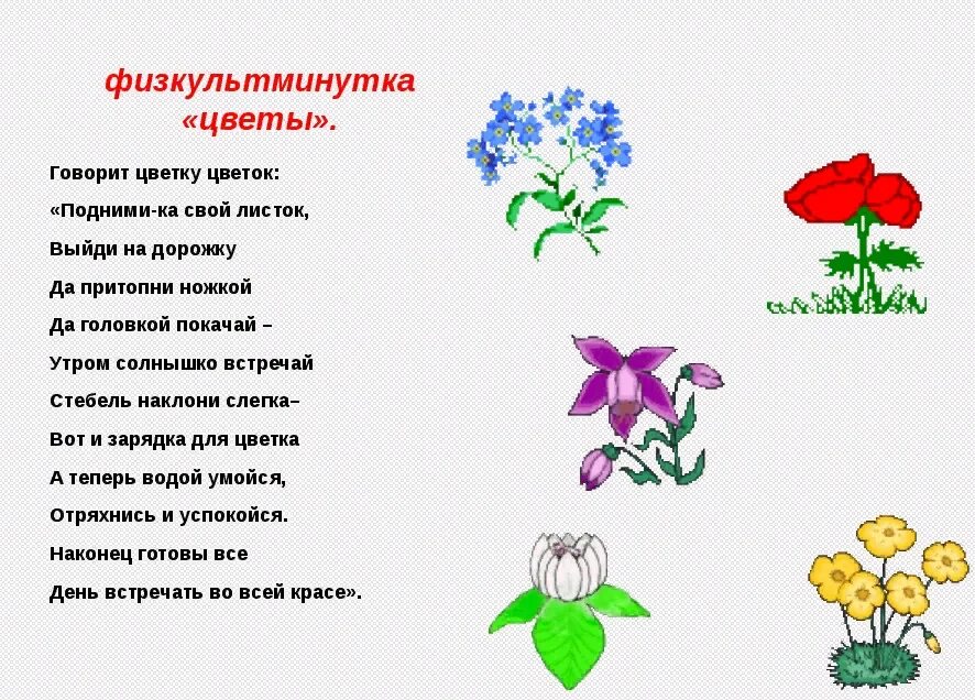 Детский стих про цветы. Детские стихи про цветы. стихи для детей про цветы дошкольников. детские стихи про цветочки. стихи про цветы для детей.
