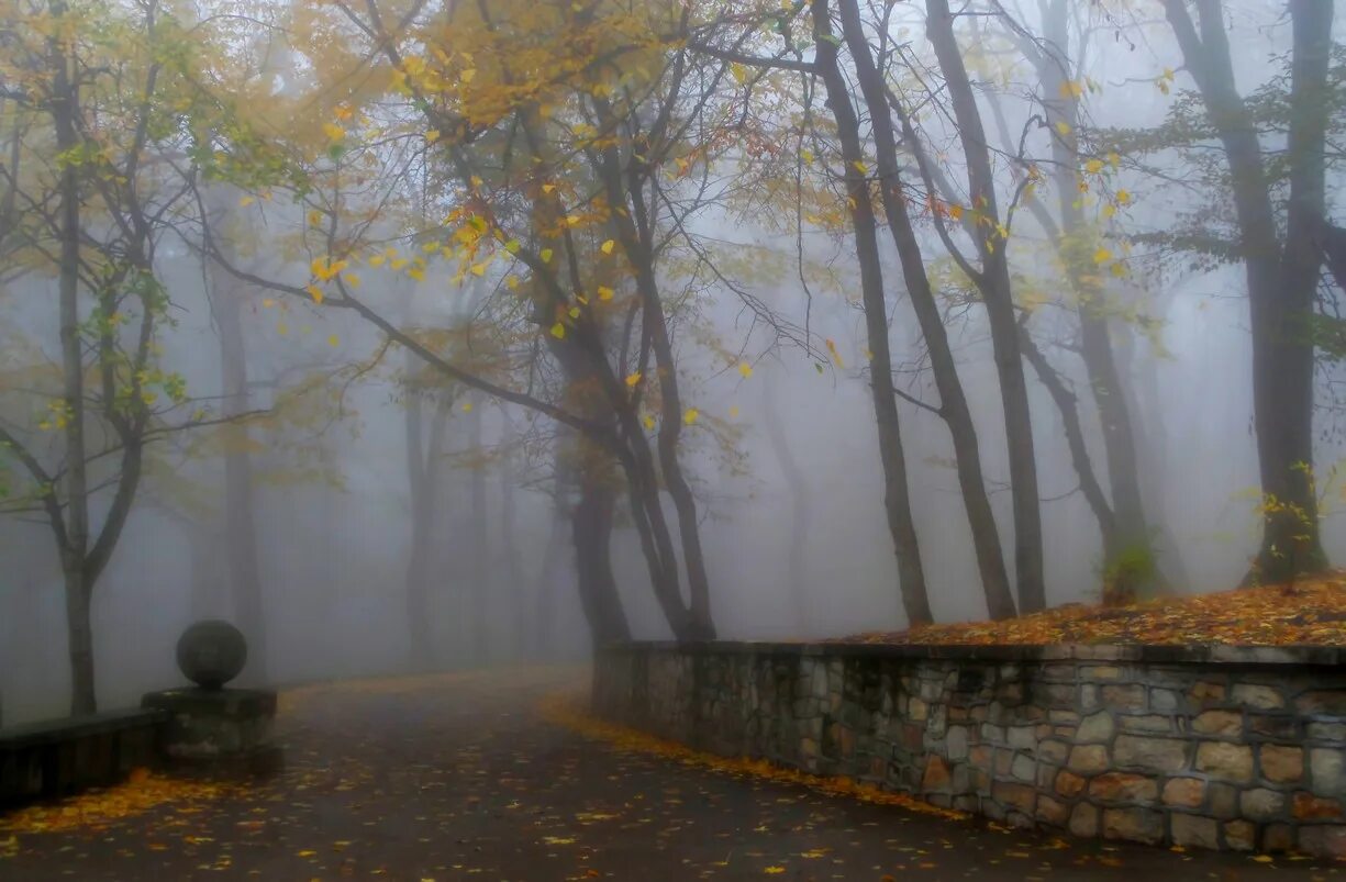 Железноводск октябрь. Железноводск в октябре. Ноябрь в парке фото. Парк Железноводск 2023. Железноводск в ноябре фото.