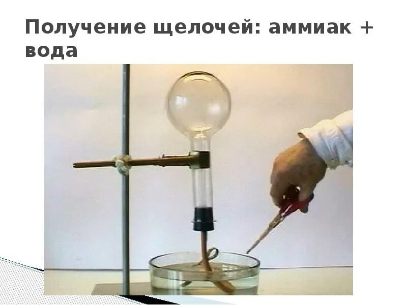 Аммиак и вода. Растворение аммиака в воде. аммиачный фонтан опыт. растворение аммиака в воде опыт.