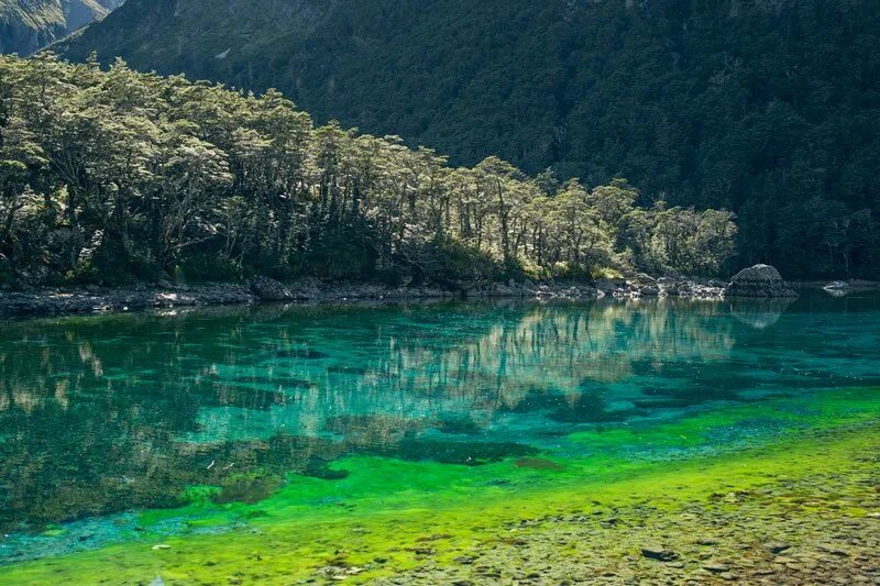 Самая чистая вода на планете