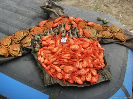 Дары сахалина