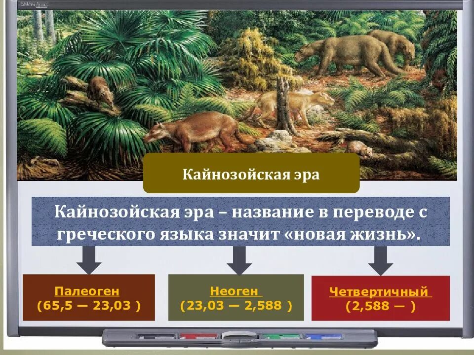 Этап эры живой природы. Периоды кайнозоя таблица палоген. растения палеогена эры. кайнозойская эра палеоген растения. палеоген период кайнозоя.