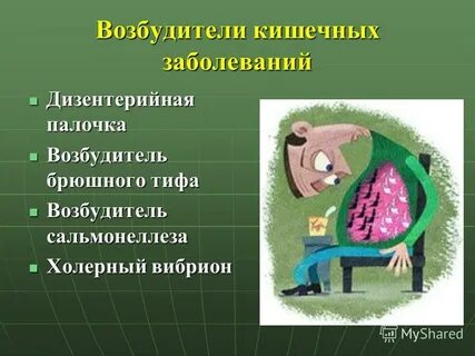 Возбудитель кишечной инфекции является