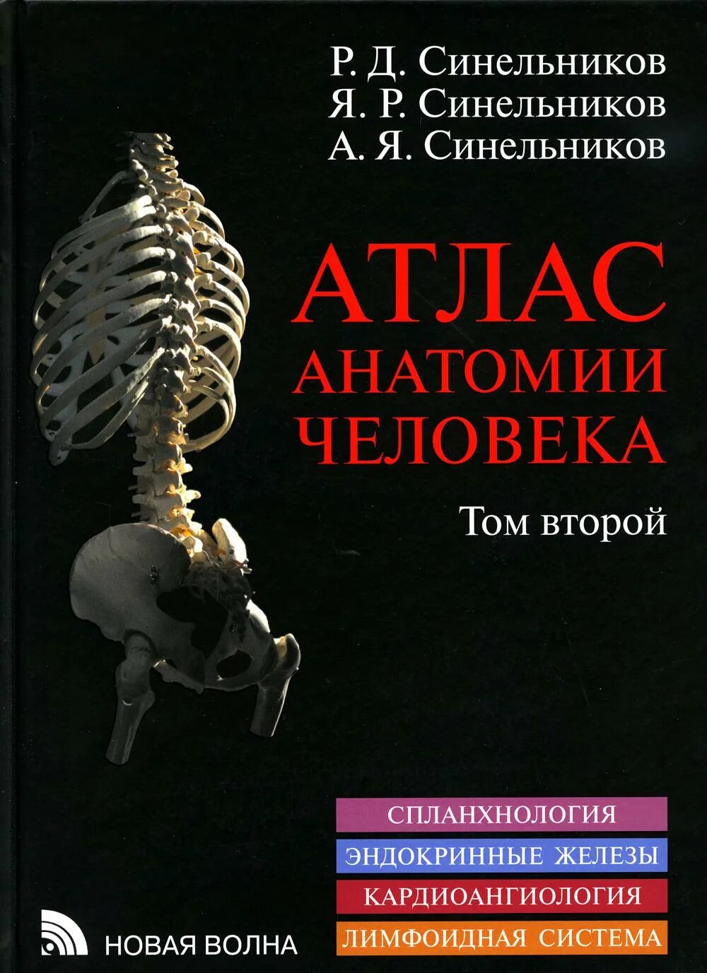 Атлас анатомии человека синельников 1 том. Атлас анатомии человека синельников том 4. Атлас анатомии человека синельникова том 4. Атлас р д синельникова. Атлас анатомии человека синельников 2 том.