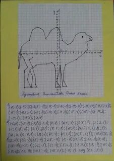 Координатная плоскость 6 5