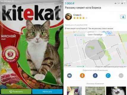 Секрет кота бориса