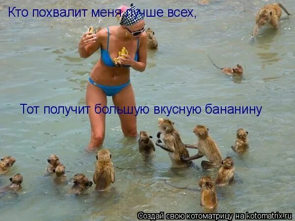 Кто похвалит меня тот получит. Кто похвалит меня тот получит