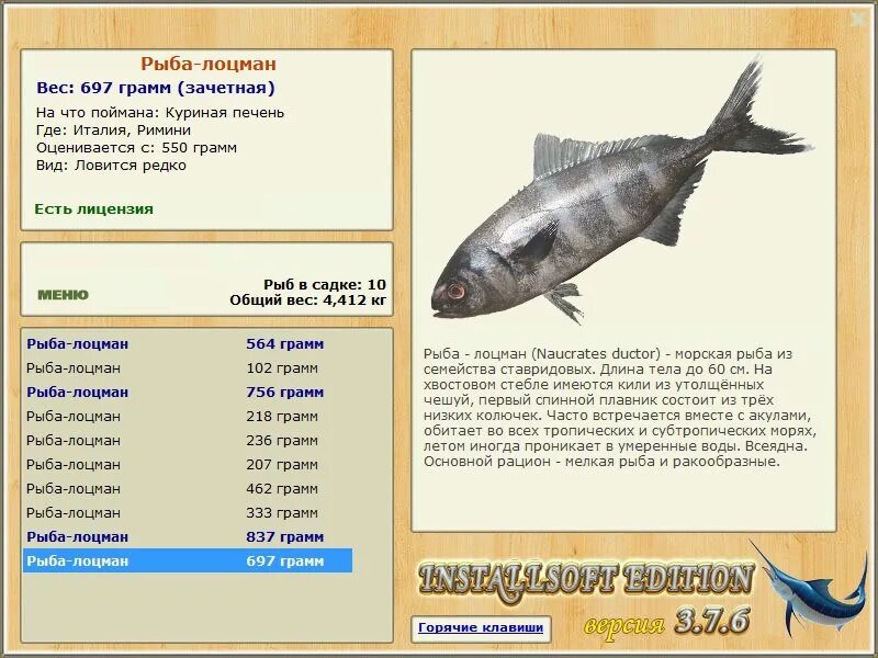 как можно назвать рыбу. имена для рыб. как можно назвать рыбу. как назвать рыбку. как можно назвать рыбу.