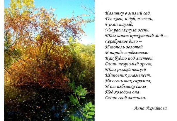 Я живу в россии где дубы песня. Ахматова стихи про осень. Стихотворение про осень Ахматова. Стихи Ахматовой об осени лучшие.