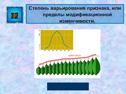 Норма реакции это пределы изменчивости