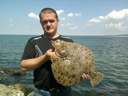 Балтийская большая рыба