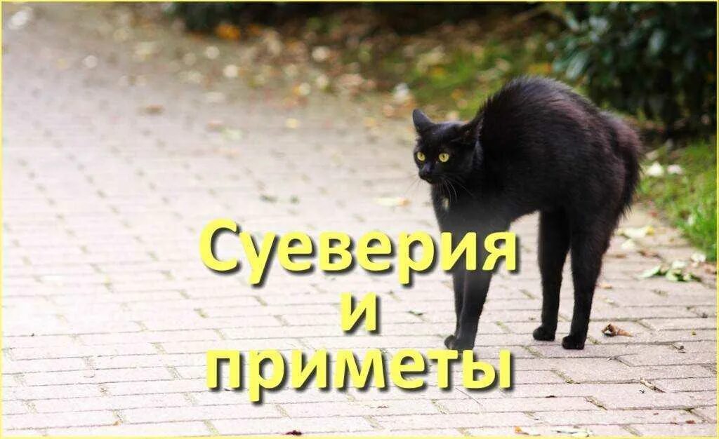 Есть ли какая нибудь примета