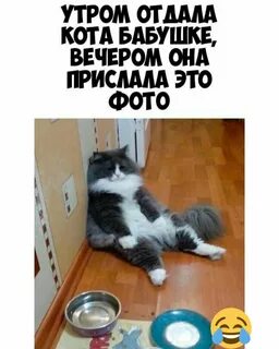 Сначала поешь