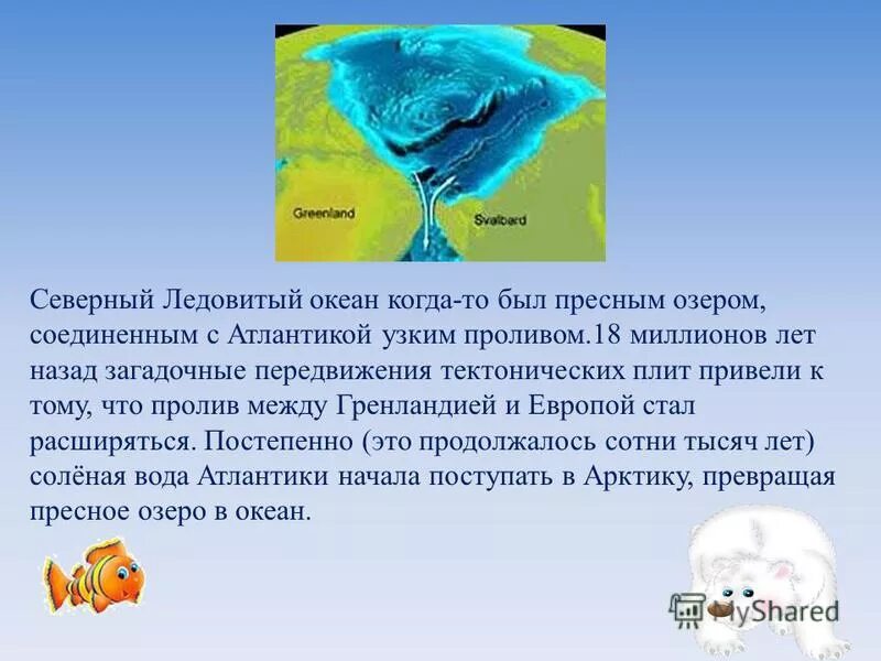 цветение воды цианобактерии. большая голубая дыра, лайтхаус-риф. камни в прозрачной воде. рыбы в прозрачной воде. байкал пресноводное озеро.