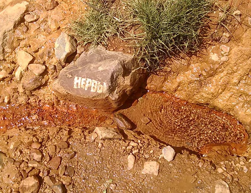 пхия кислые источники. кислые источники в карачаево черкесии лаштрак. кислые источники кчр. рожкао кислые источники. кислые источники в карачаево черкесии.