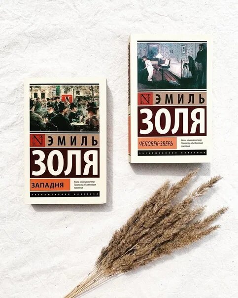 Человек зверь золя. Человек зверь золя. Животное человек книга. Золя человек зверь. Человек зверь золя.