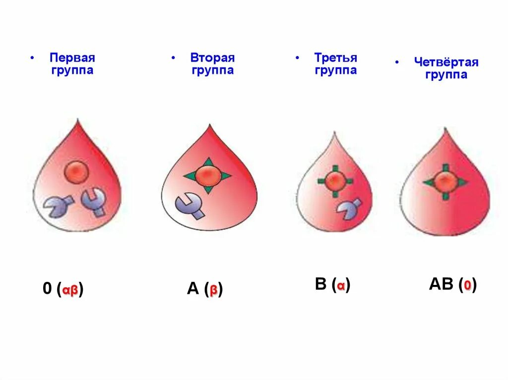 Группа крови и резус-фактор. Вторая отрицательная группа. Группы крови и резус-фактор таблица. Табличка группы крови и резус фактора. Особенности резусов крови