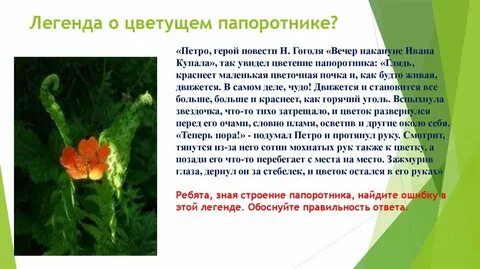 Июнь цветение папоротника алчность не порок