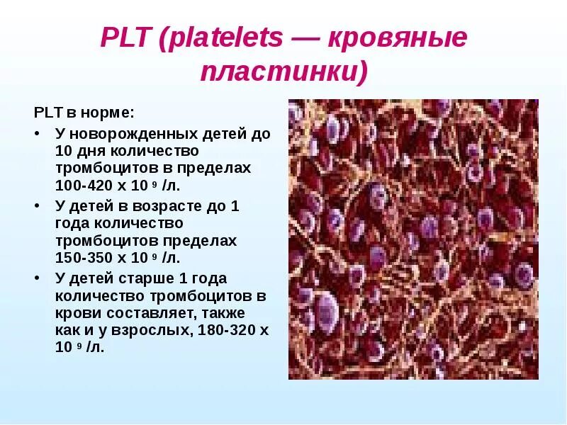 Тромбоциты у мужчин. Тромбоциты PLT. Тромбоциты в 1 л крови. В 1 Л крови содержится тромбоцитов. Тромбоциты норма.