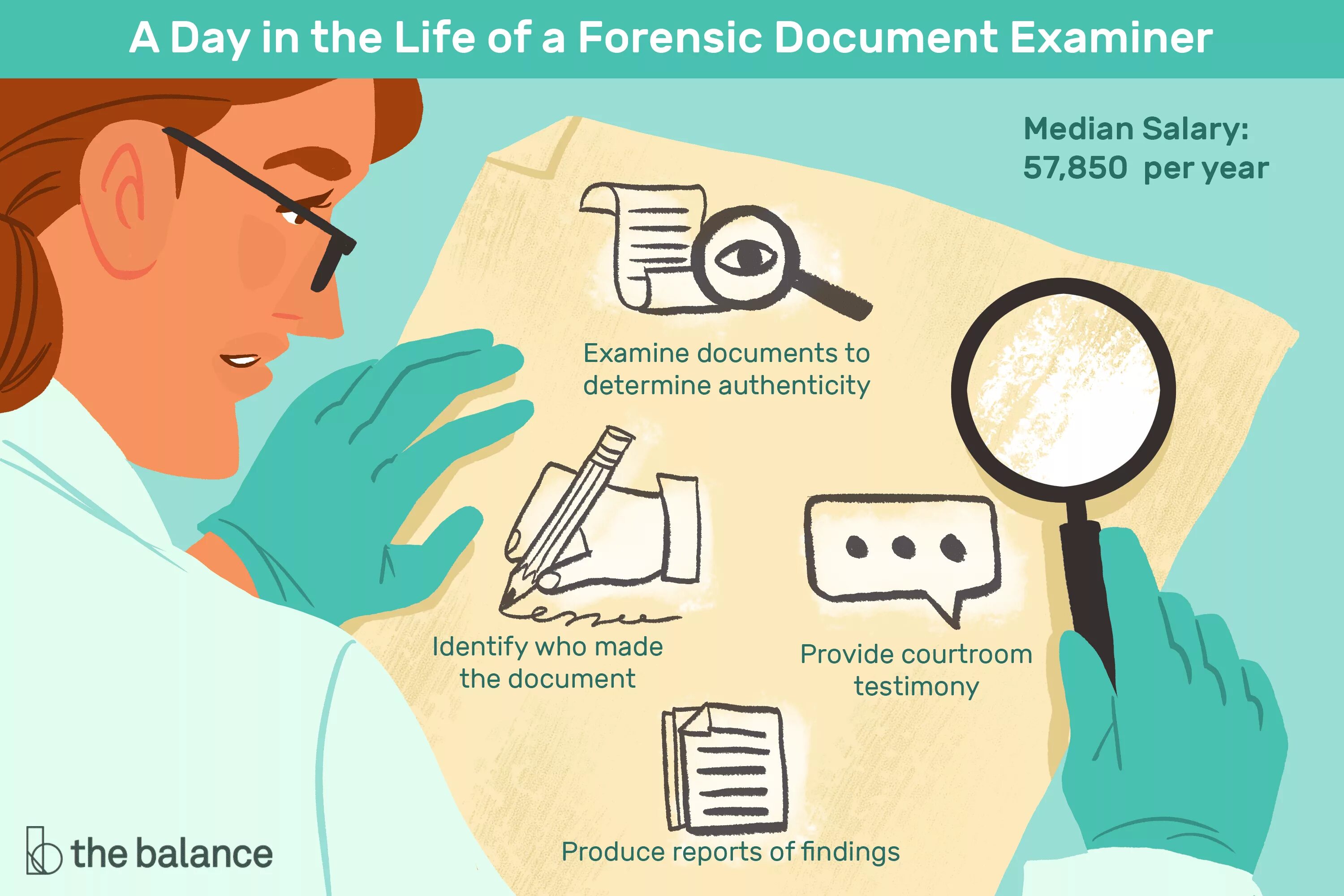 Forensic document Examiner. Forensic Scientist профессия. Лупа документы. Documents provided