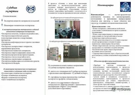 Виды экспертных специальностей