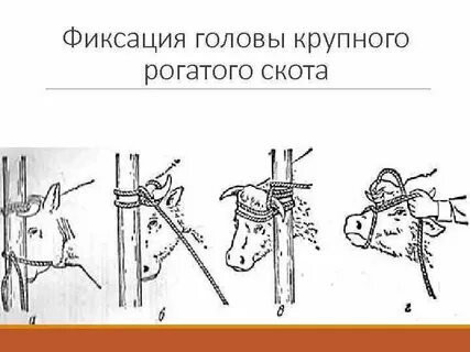 Механические методы фиксации