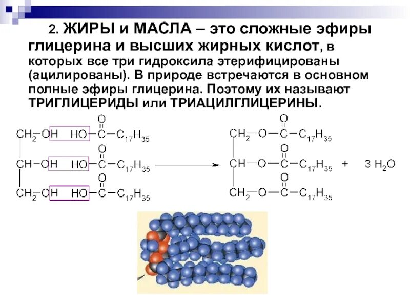 Жиры относятся к группе. Формулы предельных и непредельных высших жирных кислот. Высшие жирные кислоты формулы. Формулы предельных высших жирных кислот. Непредельные высшие жирные кислоты формулы.