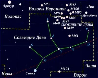 Где находится дев