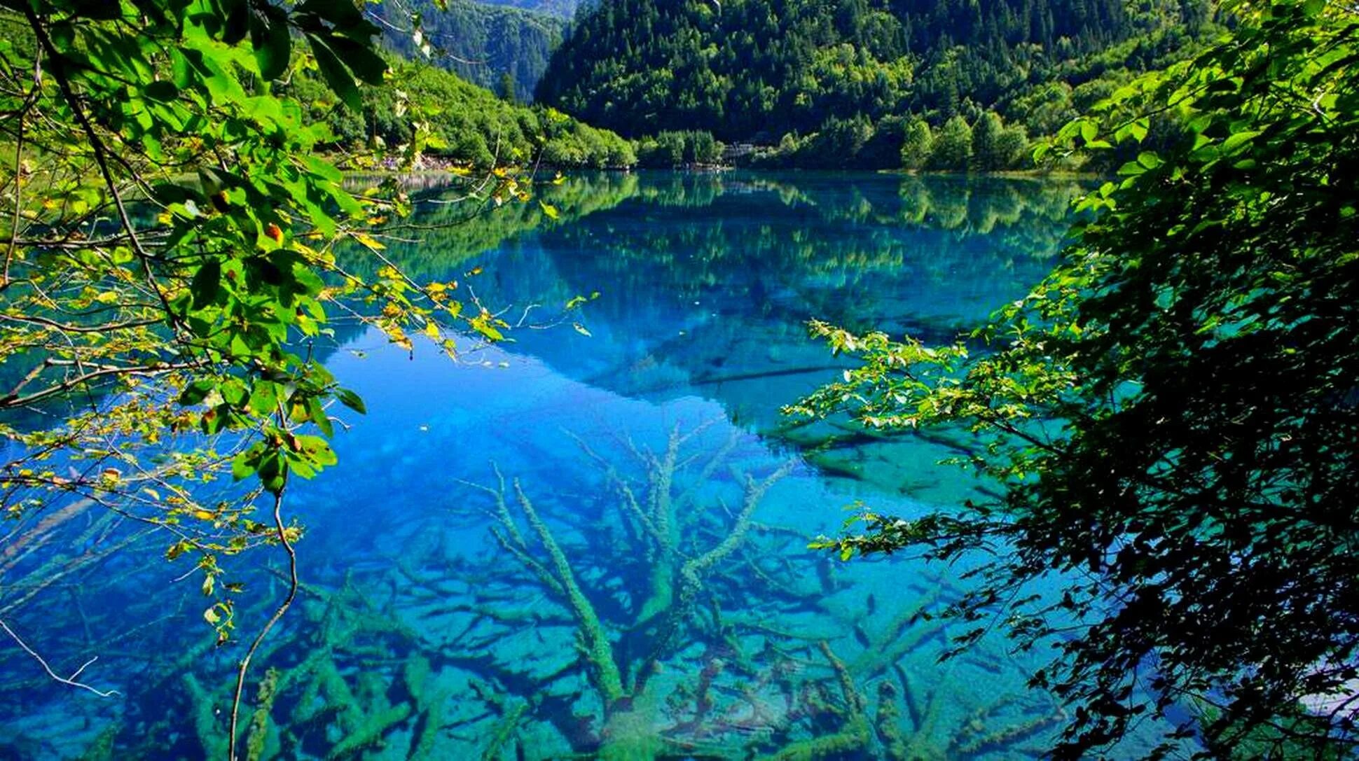 Озеро большое чистое. Нельсон-Лейкс голубое озеро. Долина Цзючжайгоу Китай. Долина Цзючжайгоу (провинция Сычуань). Новозеландия прозрачное озеро.