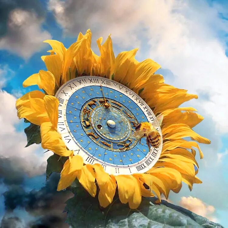 10 апреля солнце. Солнце в астрологии. Часы солнце. Часы Подсолнухи. Астрологические часы.