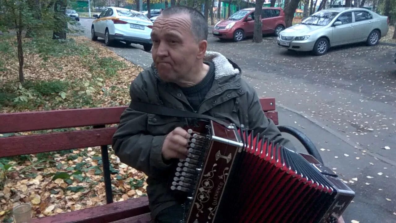 Николай бызов гармонь цыганочка. Играй гармонь сметанин. Цыганочки играй гармонь. Елецкая рояльная гармонь цыганочка. Цыганочка на гармони.