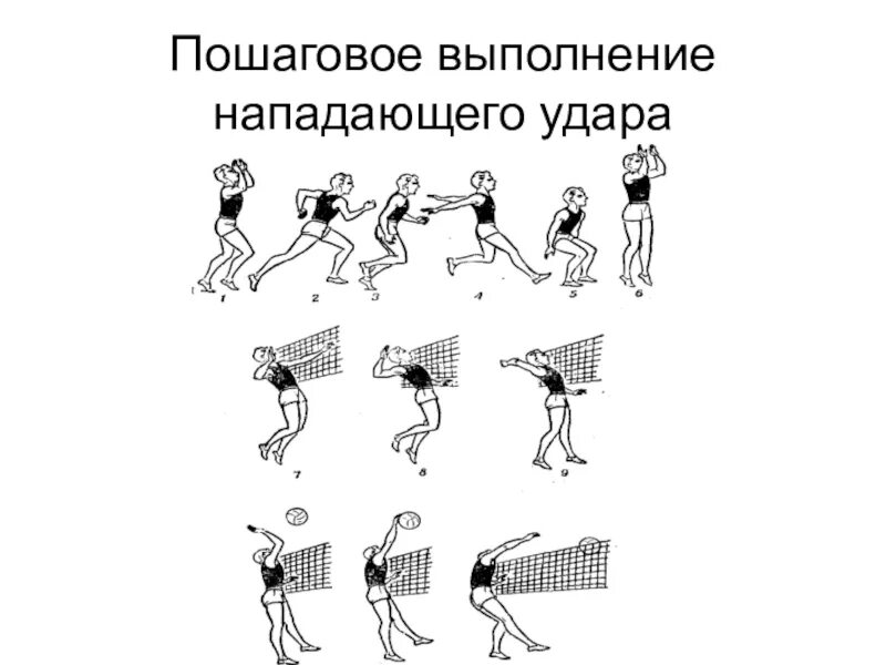 Техника нападающего удара в волейболе кратко. Волейбол блокирование нападающий удар техника. Техника нападающего удара блока в волейболе. Техника атакующего удара в волейболе кратко.