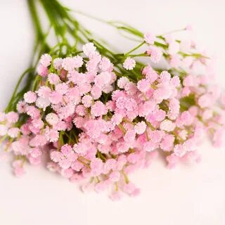 Как называются маленькие цветы