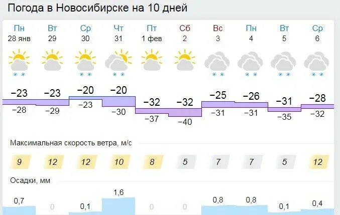 Погода в Новосибирске. Погода в Новосибирске на 10 дней. Климат Новосибирска. Гисметео Новосибирск.