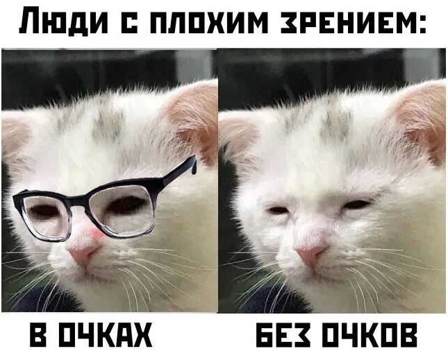Все вижу прикол. Мемы про плохое зрение. приколы про плохое зрение. шутки про плохое зрение. иемы плохое зрение.
