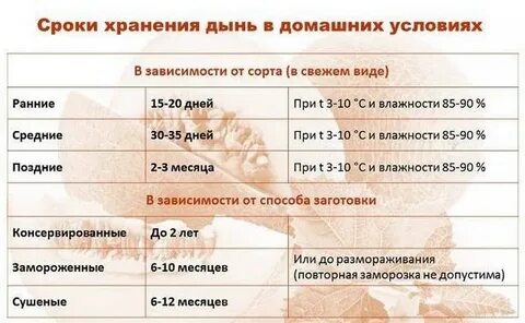 Срок арбуза в холодильнике