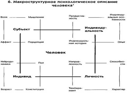 Система активности индивидов