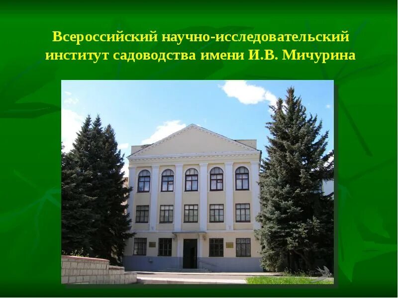 В. Федеральный научный центр им. Лисавенко в барнауле. Научно исследовательские институты садоводства. А.
